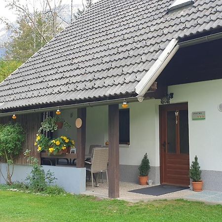 Apartment Sonce Bohinj Exteriér fotografie