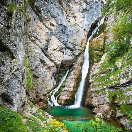 Apartment Sonce Bohinj Exteriér fotografie