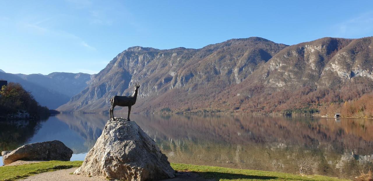 Apartment Sonce Bohinj Exteriér fotografie