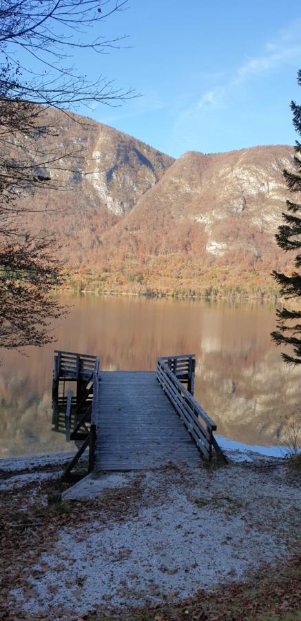 Apartment Sonce Bohinj Exteriér fotografie