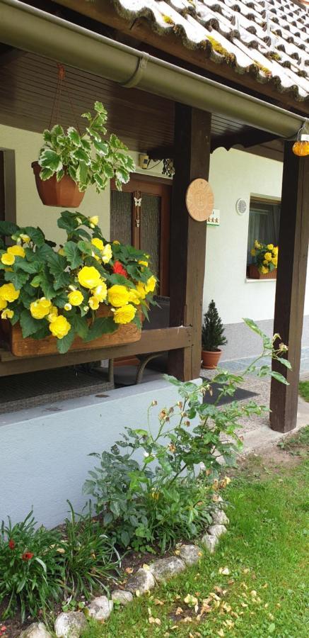 Apartment Sonce Bohinj Exteriér fotografie