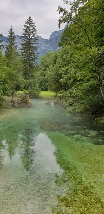 Apartment Sonce Bohinj Exteriér fotografie