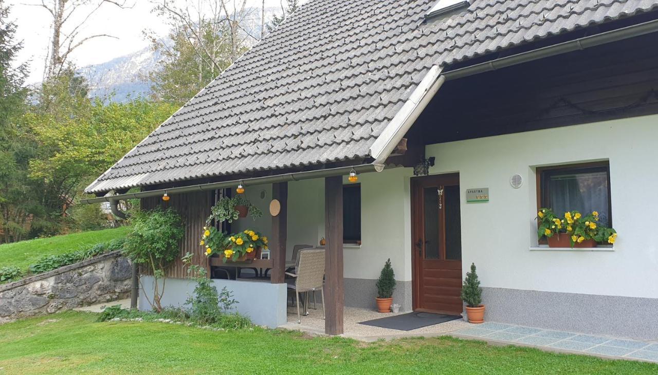 Apartment Sonce Bohinj Exteriér fotografie